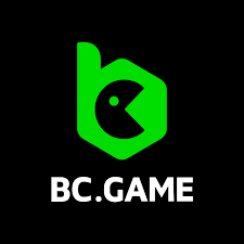 Exploring Payment Methods at BC.Game A Comprehensive Guide -684652184