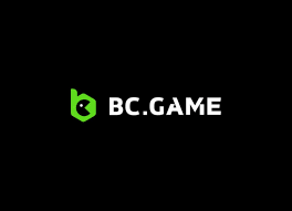 Understanding BC.Game Payments A Comprehensive Guide -970423528